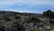 Kokkino Chorio Kreta, Kokkino Chorio: Malerisches Gelände mit Panoramablick aufs Meer zu verkaufen Grundstück kaufen